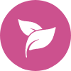 Jaylancer | SA business Listing